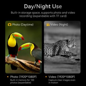 Night Vision Telescope 4X Digital Zoom 800M IR Range Infrared Digital Camera Night Vision Binoculars  Monocular Night Vision